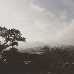 Meet your Posher, Devin